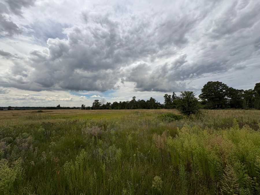 0 Bedroom Property for Sale in Vaalpark Free State